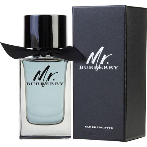 mr burberry 100ml eau de parfum|mr burberry eau de parfum.